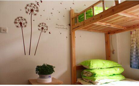 Backyard Youth Hostel 厦门 客房 照片